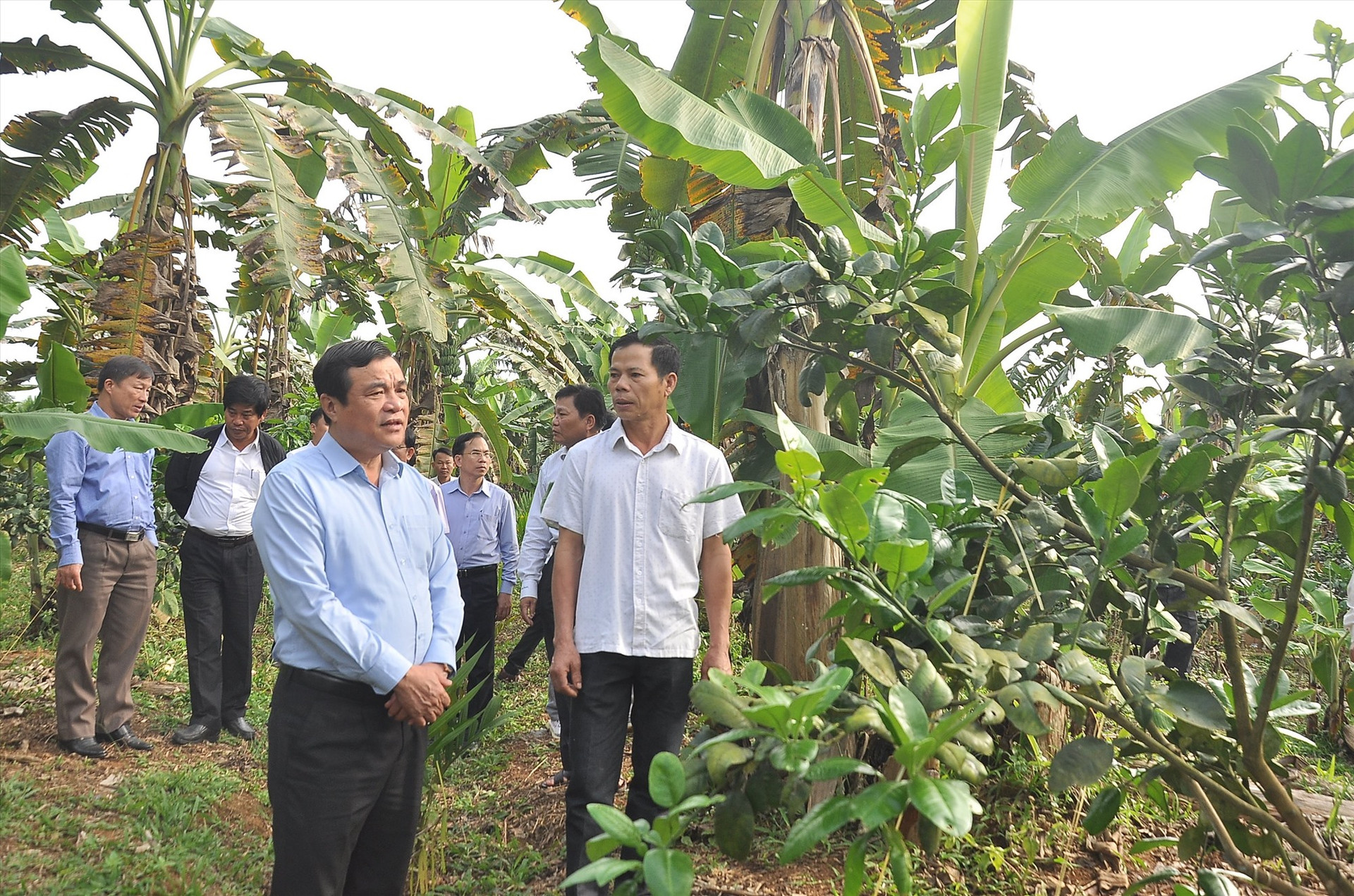 Bí thư Tỉnh ủy Phan Việt Cường kiểm tra thực tế mô hình làm kinh tế vườn tại xã Tiên Hà. Ảnh: VINH ANH