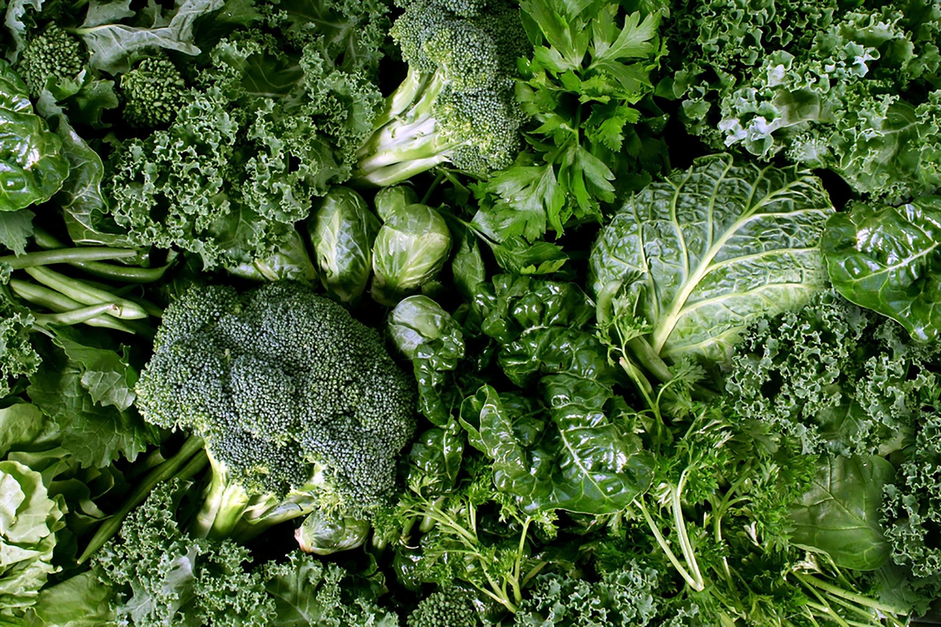 Rau cải có lá màu xanh sậm chứa nhiều dưỡng chất tăng đề kháng cho cơ thể