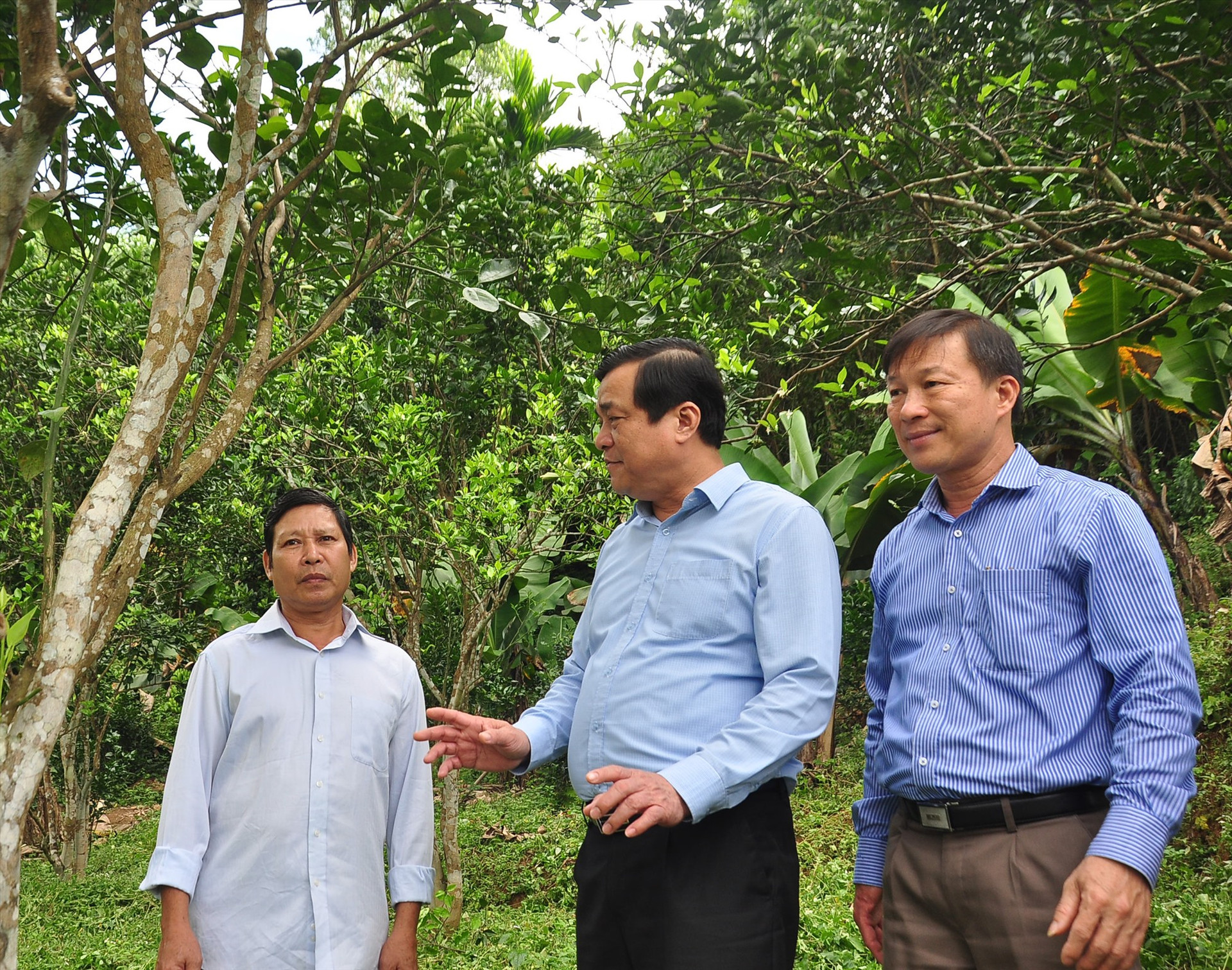 Bí thư Tỉnh ủy Phan Việt Cường thăm một số mô hình kinh tế vườn ở xã Tiên Hà. Ảnh: VINH ANH