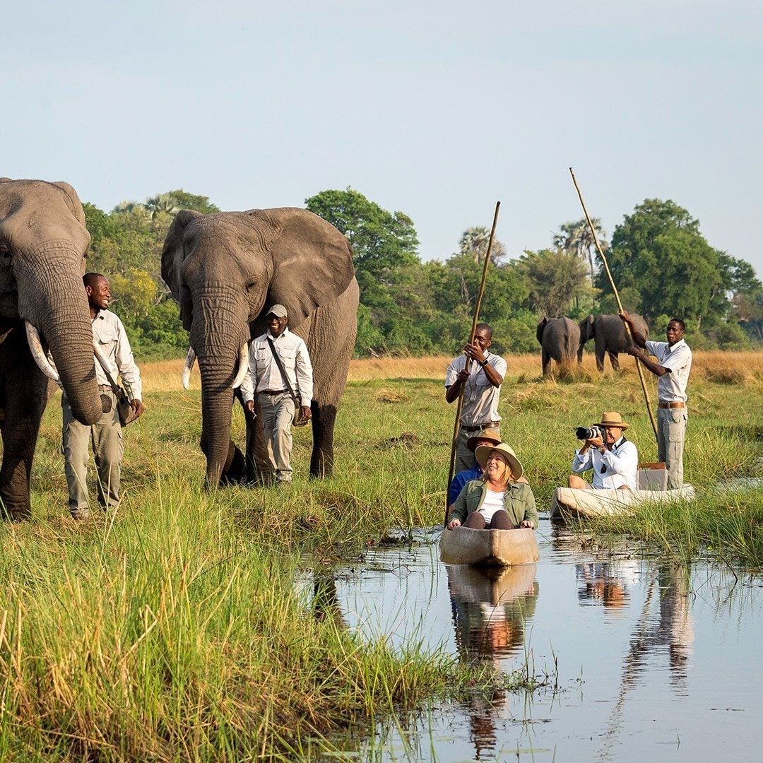 Đất nước Botswana nằm ở phía nam châu Phi ngày càng nổi tiếng với vườn thú safari, nơi tiếng gọi của thiên nhiên hoang dã và hoàng hôn tuyệt đẹp. Ảnh: dustybootstravel