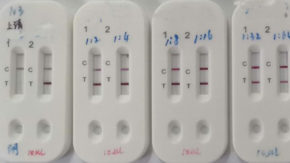 Kết quả xét nghiệm máu với bộ phát hiện mới IgM/IgG cho Covid-19. Ảnh: CCTV