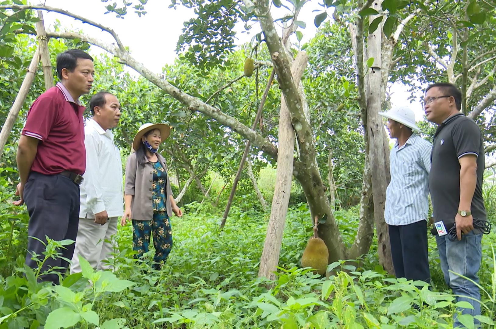 Vườn cây ăn quả của ông Nguyễn Thanh Hạt ở thôn Thái Chấn Sơn (Đại Hưng, Đại Lộc) cho thu nhập hằng năm gần 700 triệu đồng.