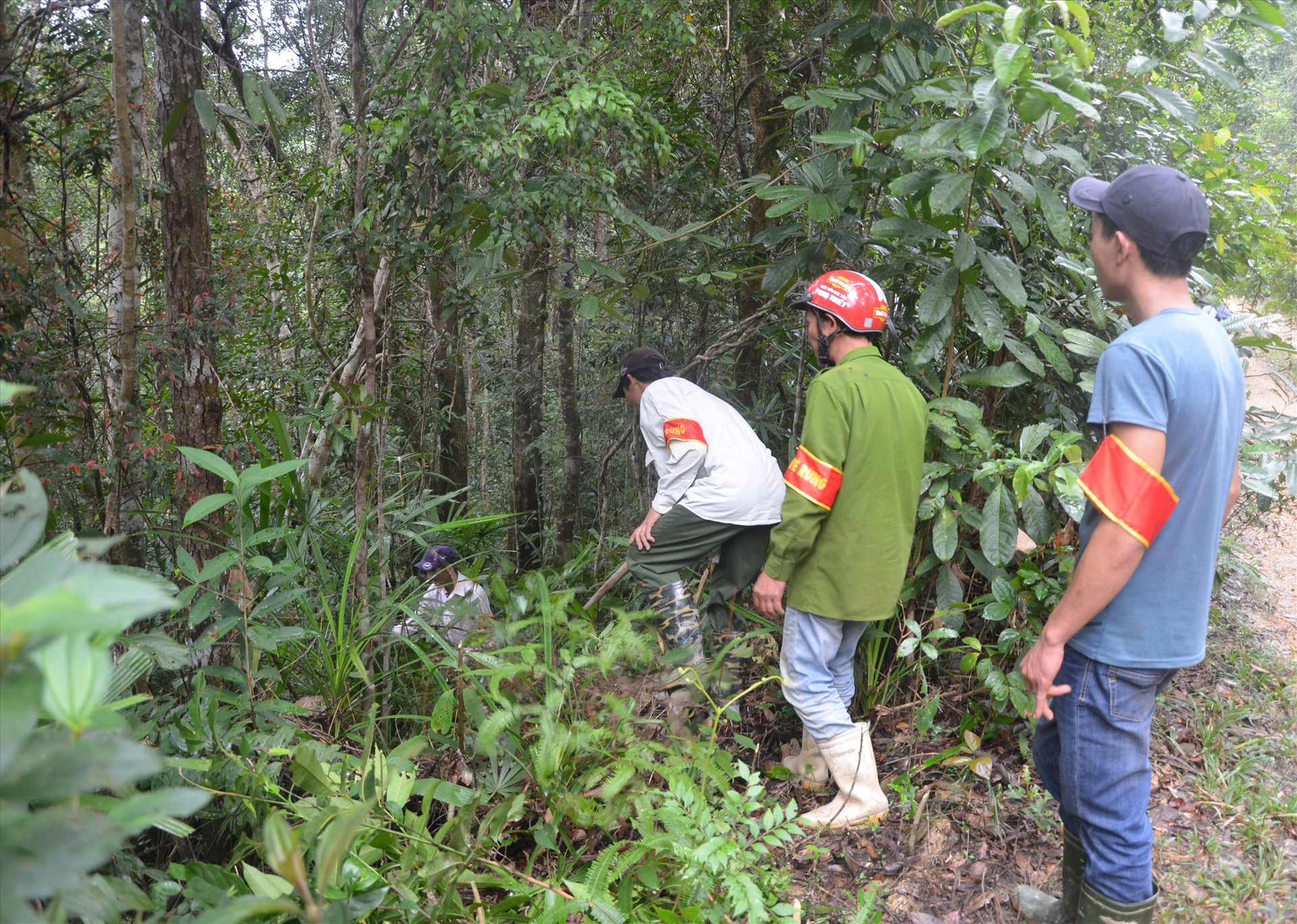 Tổ bảo vệ rừng của Ban Quản lý rừng phòng hộ Sông Kôn (Đông Giang) tháo dỡ bẫy đặt động vật trong khoảnh rừng tuần tra. Ảnh: T.N