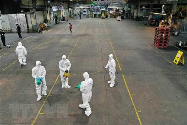 Phun thuốc khử trùng tại một chợ rau củ ở thành phố Daegu, Hàn Quốc nhằm ngăn chặn sự lây lan của dịch COVID-19, ngày 20/2/2020. (Ảnh: AFP/TTXVN)