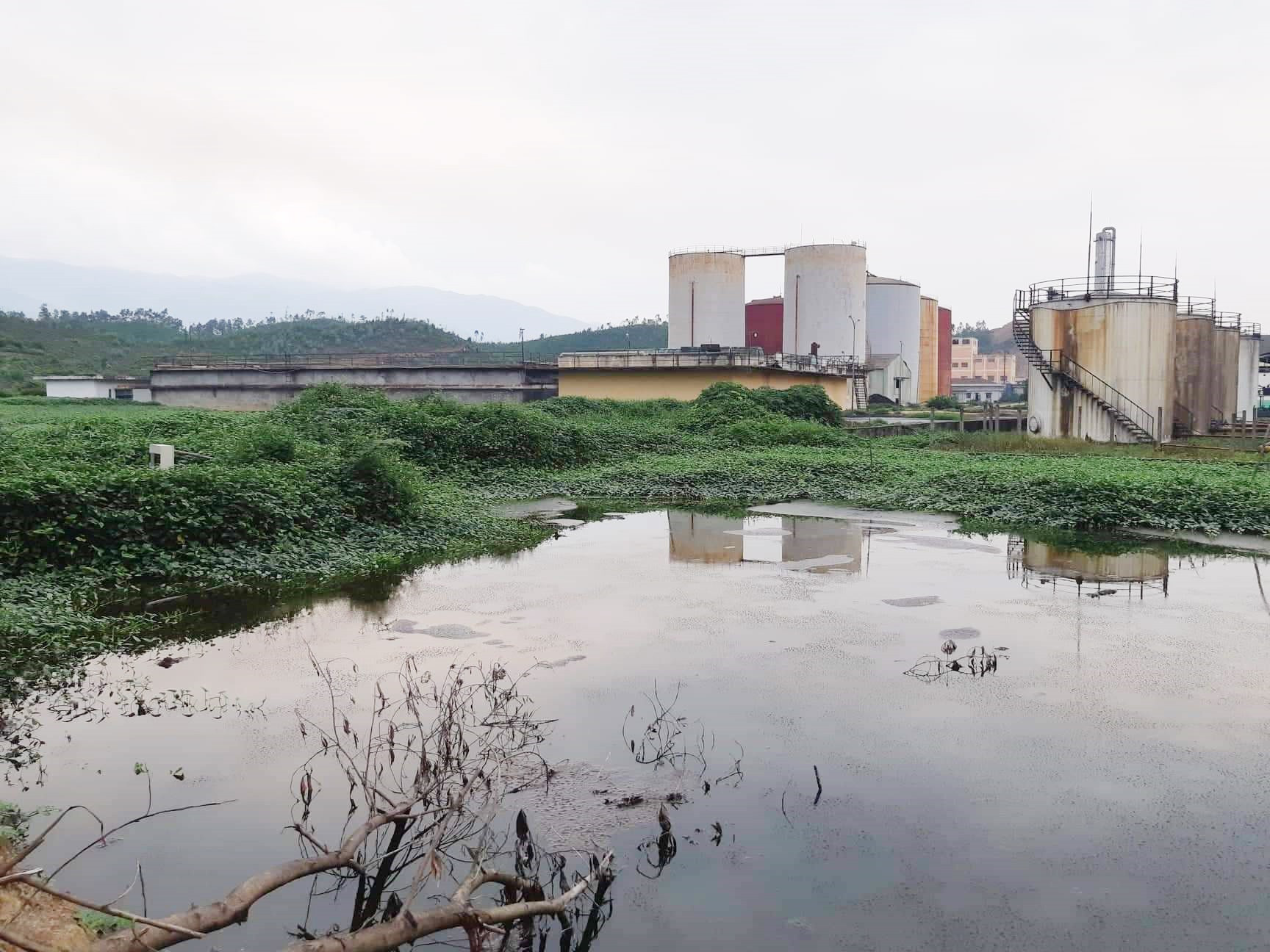 Khung cảnh xung quanh Nhà máy Sản xuất cồn ethanol Đại Tân. Ảnh: TRIÊU NHAN