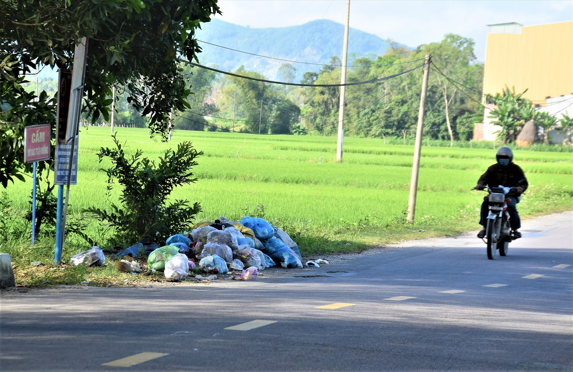 Rác thải tập kết trên tuyến đường 40B đoạn qua địa bàn xã Tam Dân, huyện Phú Ninh chưa được thu gom. Ảnh: THANH THẮNG