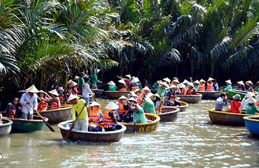 Bay Mau nipa forest, a famous tourist destination in Hoi An, Quang Nam