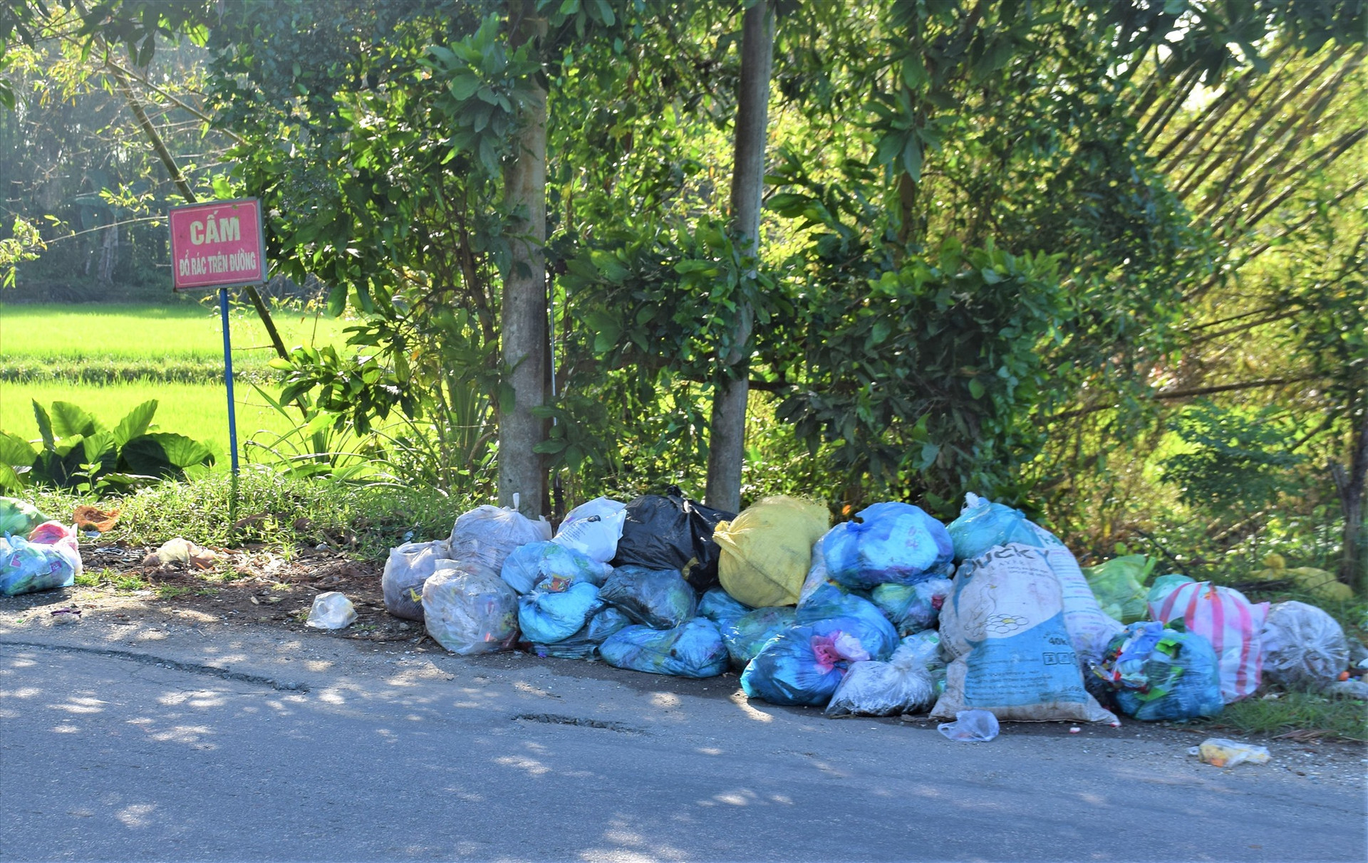 Người dân tập kết rác thải trên ven đường quốc lộ 40B. Ảnh: THANH THẮNG
