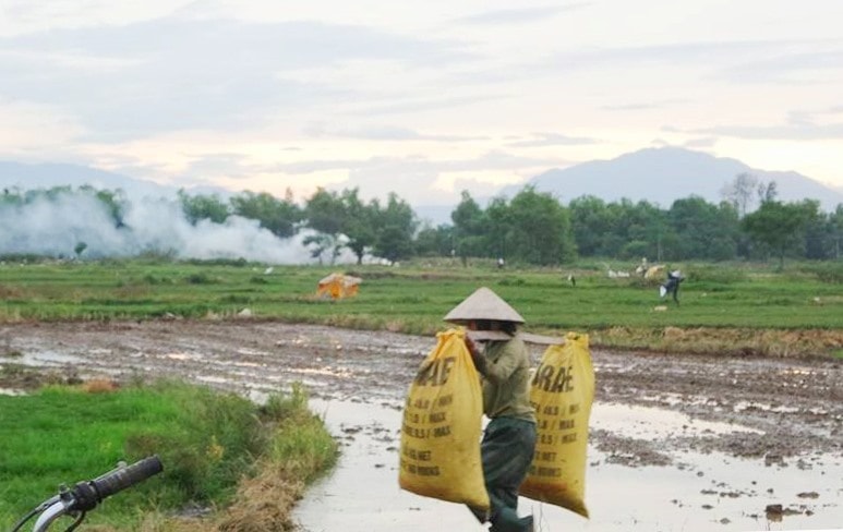 Đã ngoài tuổi năm mươi, trên vai mẹ vẫn còn nặng đôi quang gánh trên cánh đồng.