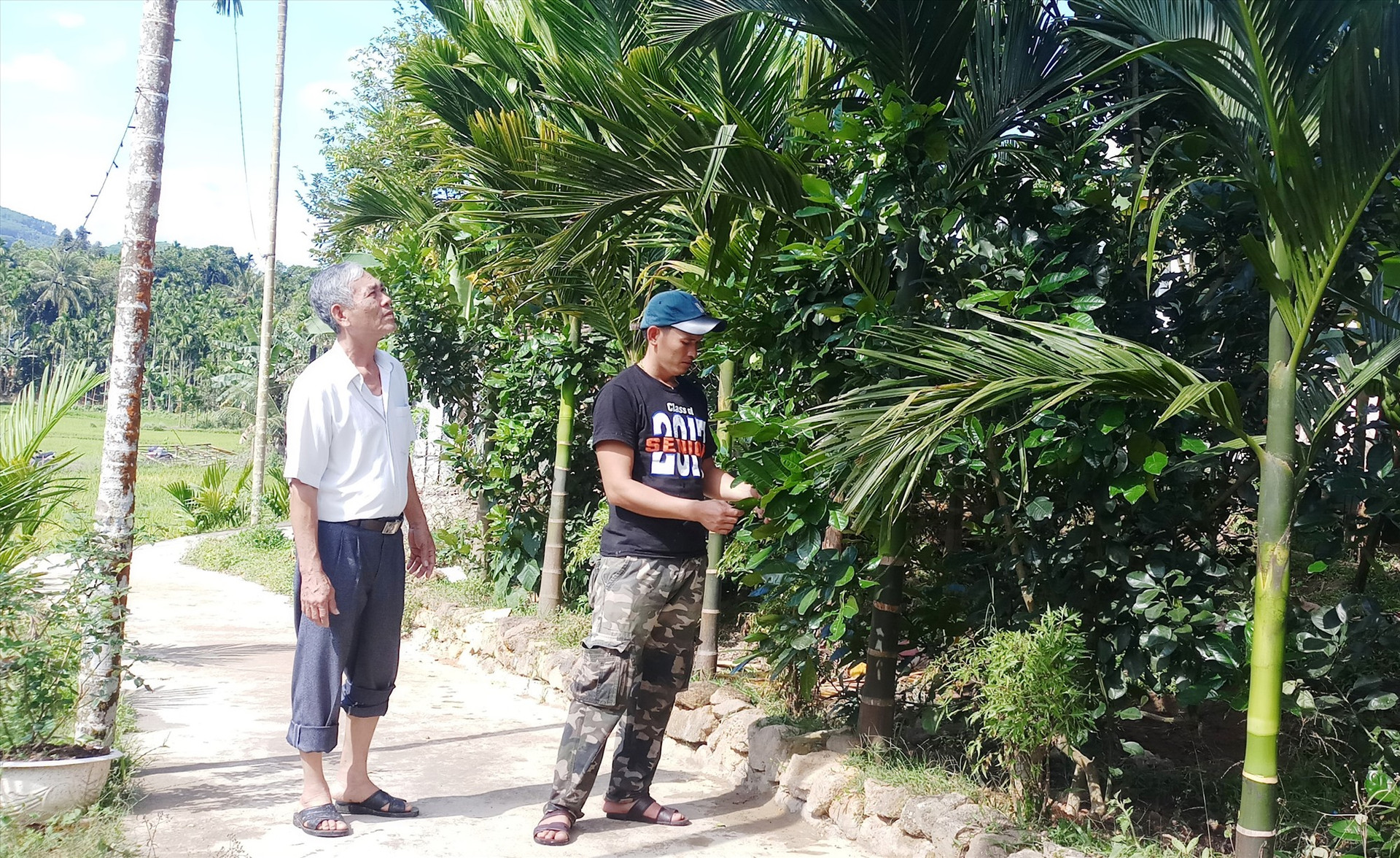 Anh Nguyễn Hữu Tuân, thôn Hữu Lâm, thị trấn Tiên Kỳ (Tiên Phước) bên vườn cây trái của gia đình.