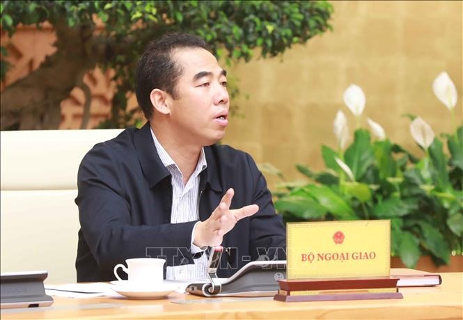 Thứ trưởng Ngoại giao Tô Anh Dũng phát biểu. Ảnh: Doãn Tấn/TTXVN