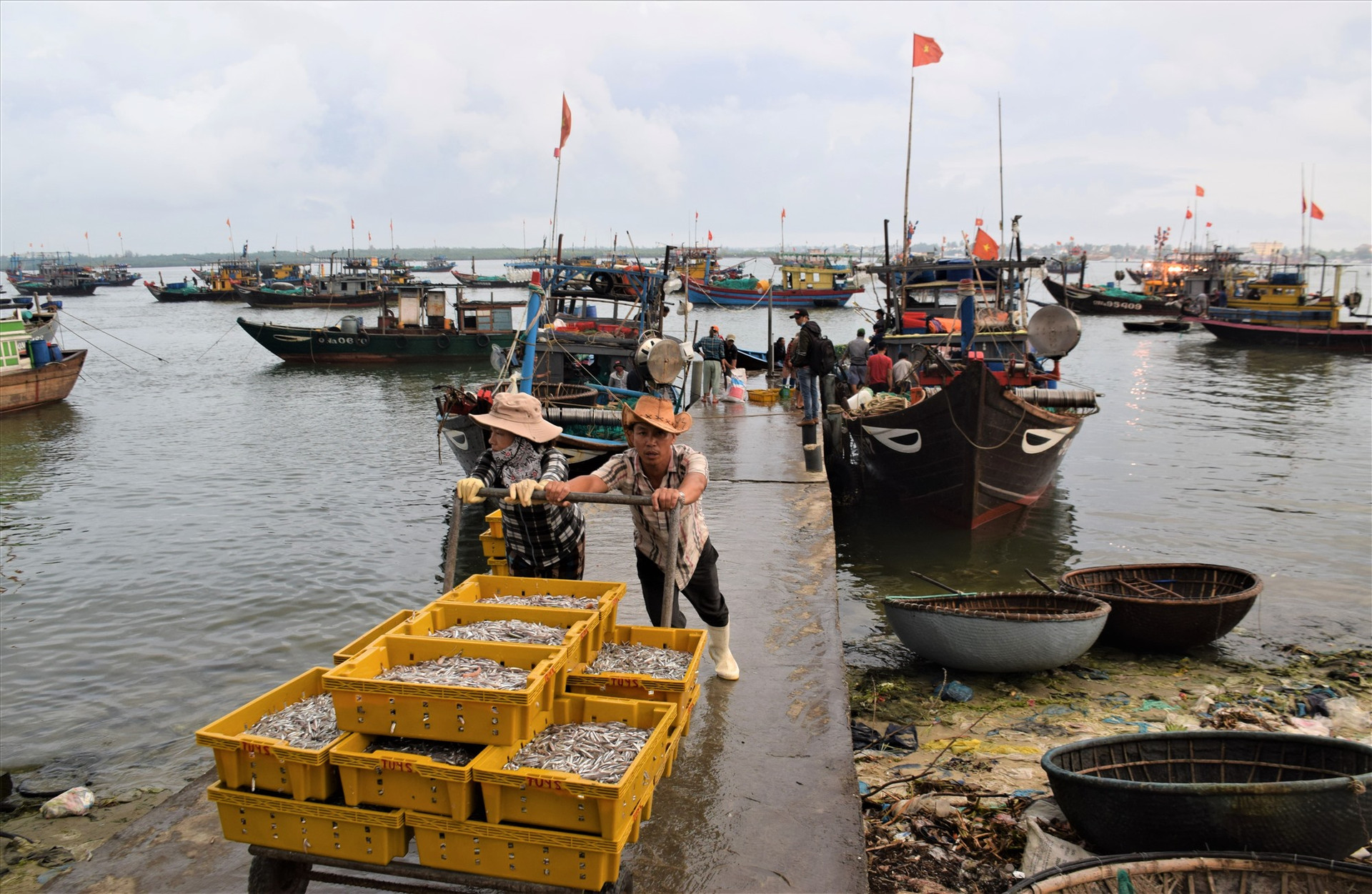 Thương lái thu mua cá cơm của ngư dân tại bến cá An Lương, xã Duy Hải, huyện Duy Xuyên. Ảnh: THANH THẮNG