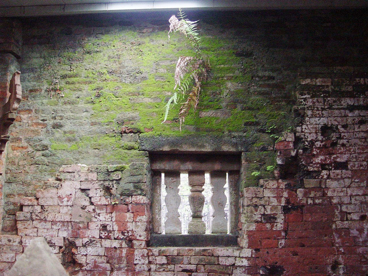 Tường gốc bên trong nhà dài (mandapa). Ảnh: VĂN CƯỜNG