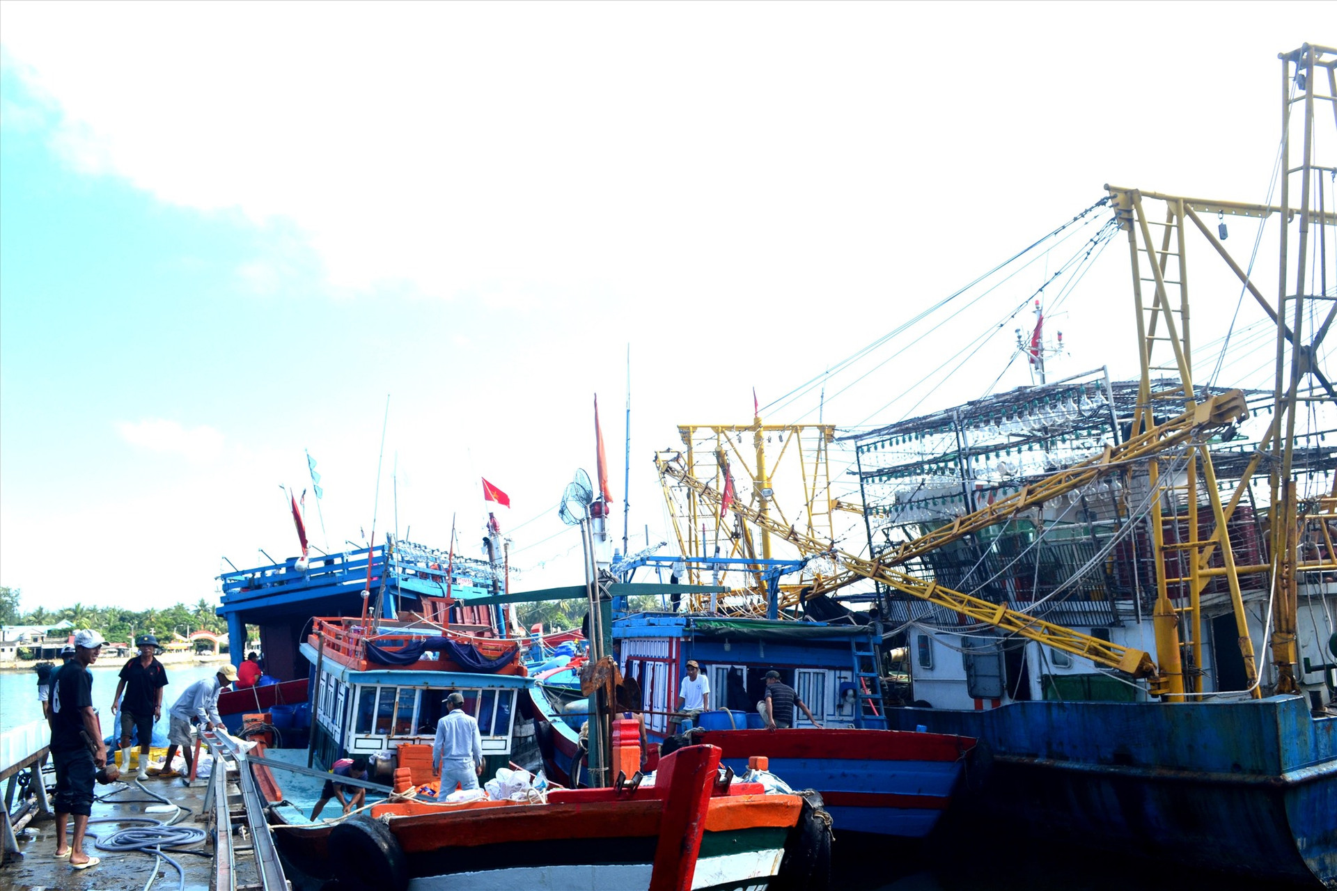 Nhiều tàu cá đóng mới từ vốn vay của Quỹ HTND Quảng Nam làm ăn hiệu quả. Ảnh: VIỆT NGUYỄN