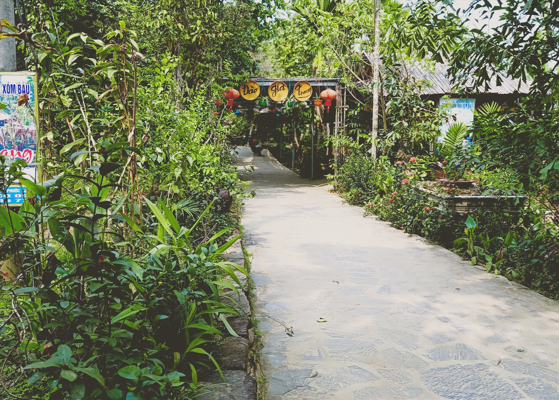 Khuôn viên nhà vườn Đào Gia Trang (xóm Bàu, thôn 2, Tiên Cảnh) trồng cây ăn quả kết hợp dịch vụ du lịch sinh thái. Ảnh: HOÀNG LIÊN