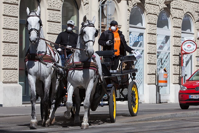 Chủ xe và xe ngựa kéo chuyển đồ ăn cho khách hàng tại Vienna, Áo giữa mùa đại dịch Covid-19. Ảnh: AFP/TTXVN