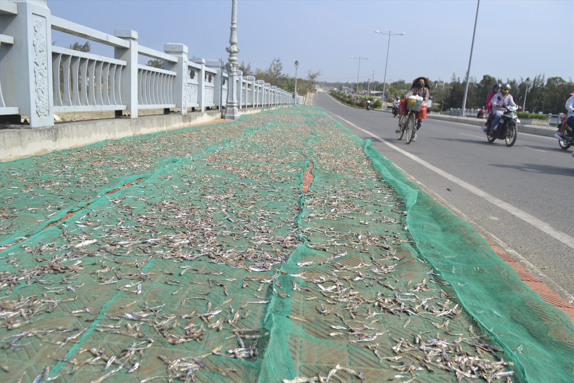 Người dân phơi cá trên lối đi bộ của cầu Cửa Đại. Ảnh: SC