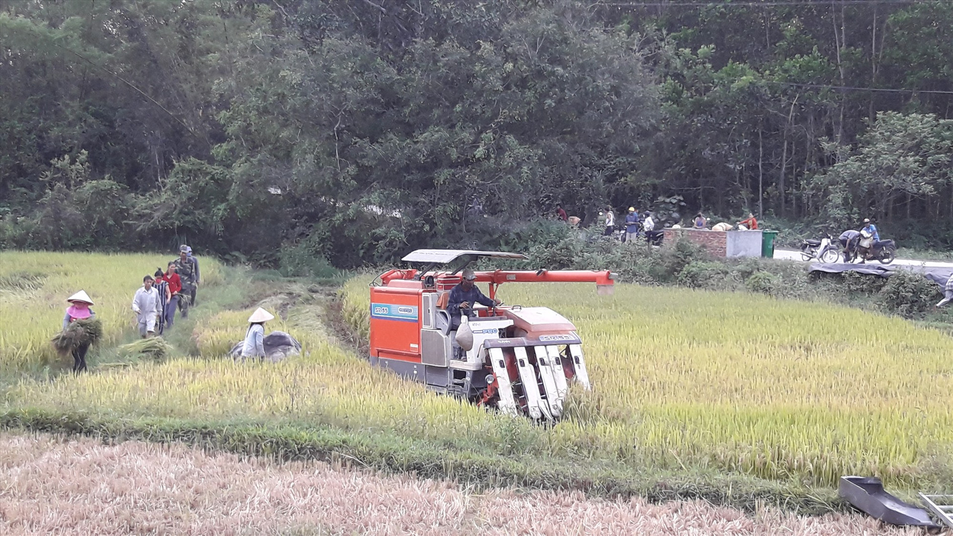 Tại xã Tiên Phong, nông dân chủ động cơ giới hóa trong sản xuất.Ảnh: P.H