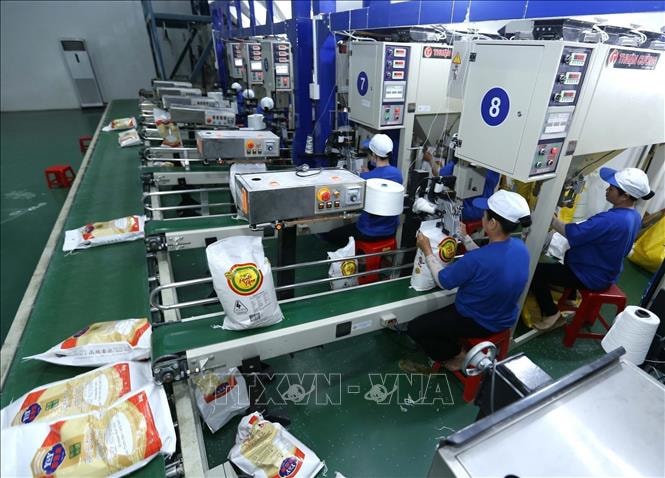 Công ty CP nông nghiệp công nghệ cao Trung An (phường Trung Kiên, quận Thốt Nốt, thành phố Cần Thơ) đóng bao xuất khẩu gạo sang thị trường Nhật Bản, Trung Đông, Malaysia, Australia và Trung Quốc. Ảnh: Vũ Sinh/TTXVN