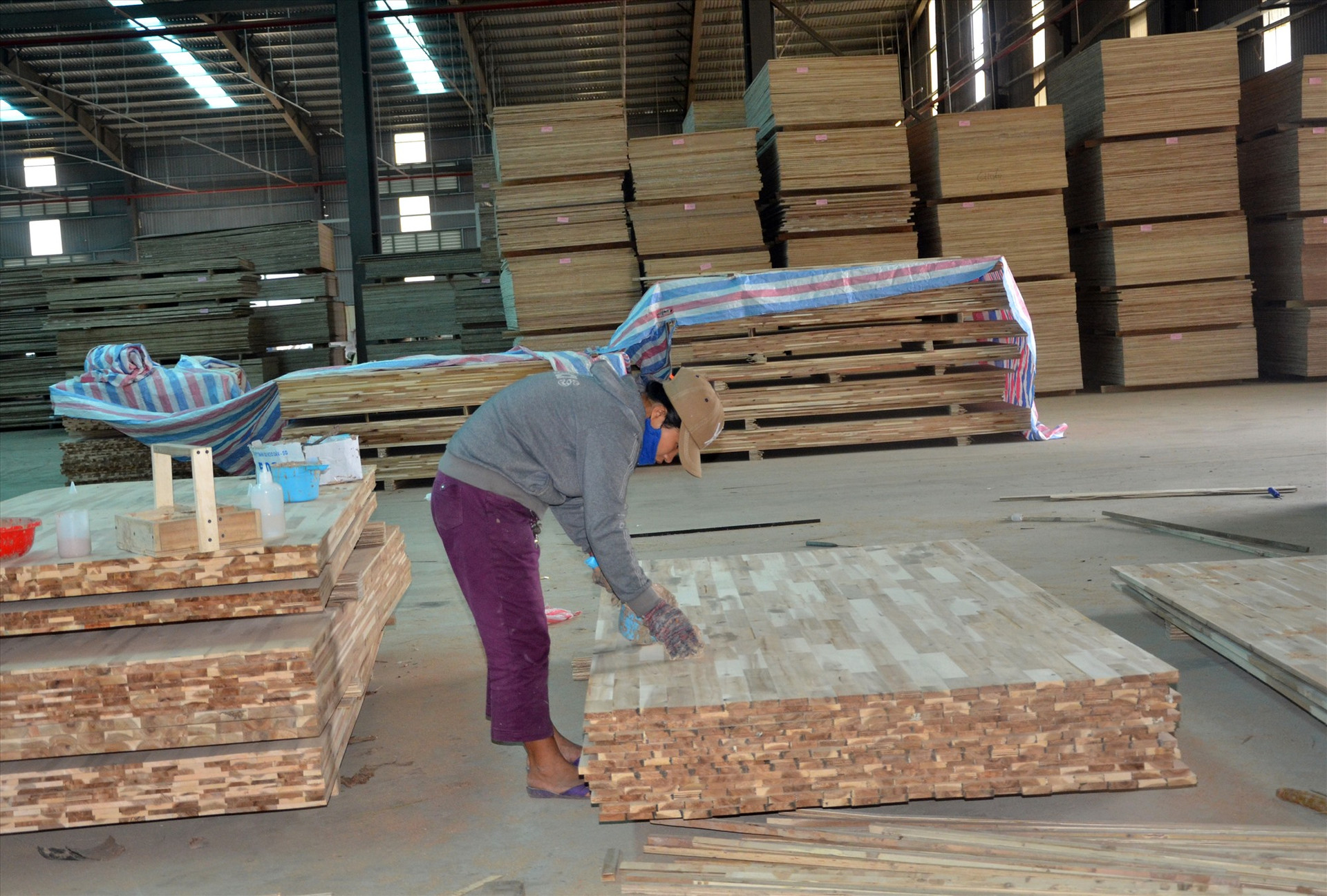 Giảm nhập khẩu phụ liệu, chủ động nguồn nguyên liệu, đẩy nhanh trồng rừng gỗ lớn là những biện pháp để phục hồi ngành công nghiệp chế biến gỗ bị ảnh hưởng do dịch Covid-19. Ảnh: N.T