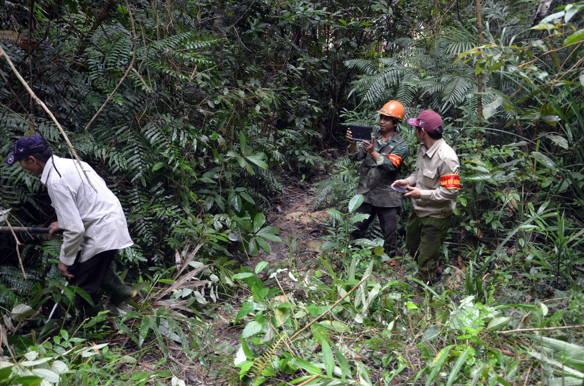 Tổ bảo vệ rừng ở sông Kôn (Đông Giang) tháo dỡ bẫy thú rừng. Ảnh: T.N