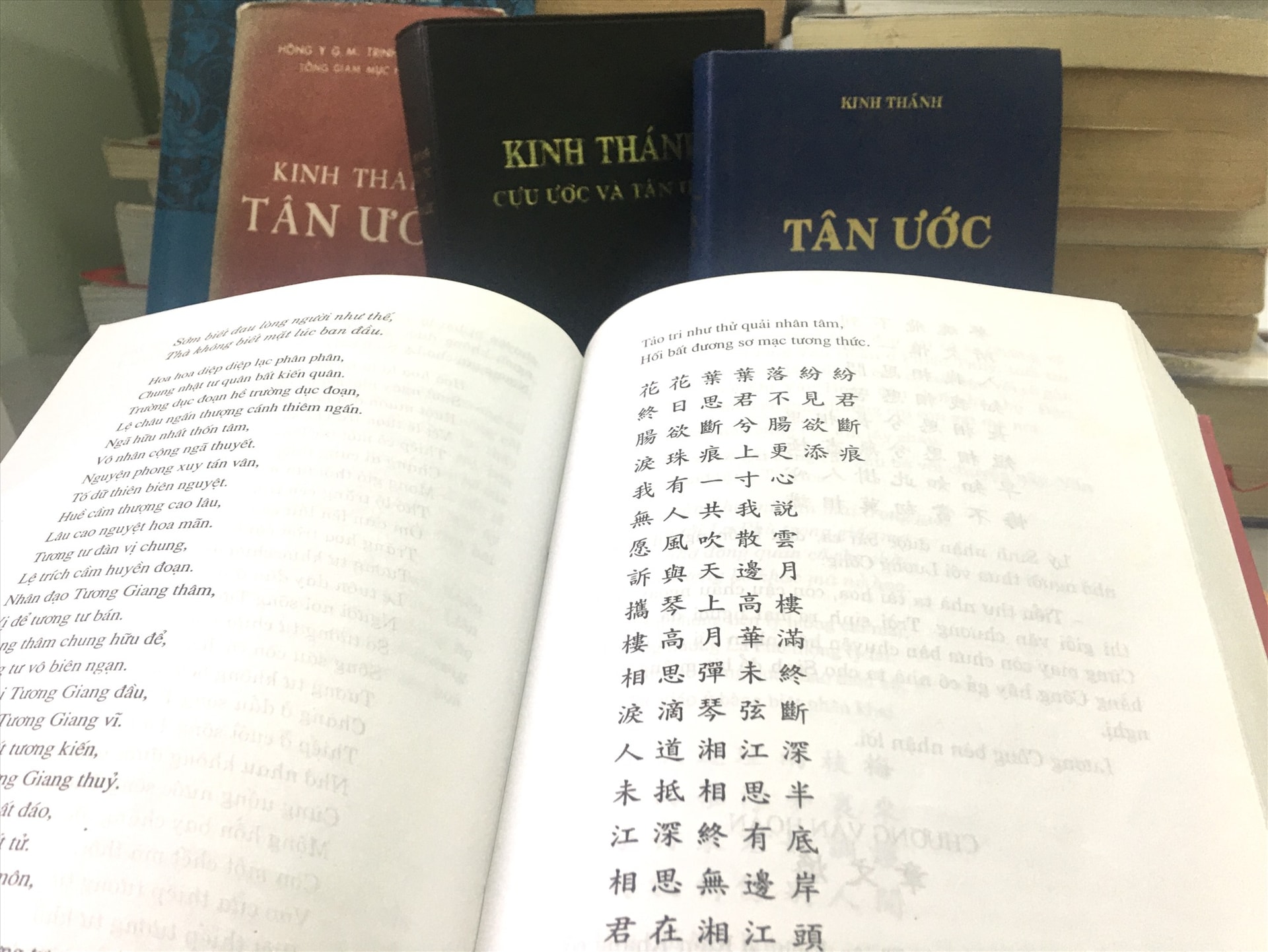 Bài thơ dài của nàng Lương Ý Nương trong “Tình sử”, lâu nay chỉ nhắc 4 câu ngắn. Ảnh: H.X.H