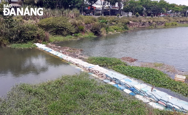 Đơn vị thi công vừa hoàn thành đắp thêm tuyến đập tạm ngăn mặn số 3 bằng bao tải cát trên sông Cẩm Lệ.                       Ảnh: HOÀNG HIỆP