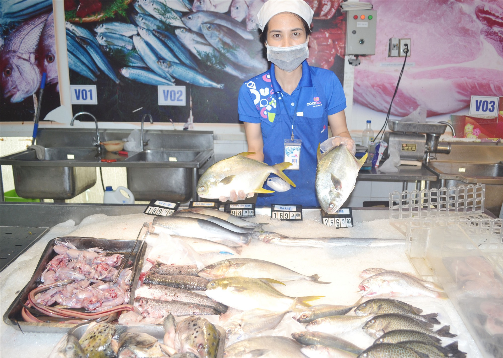 Ngư dân cần tạo nhiều kênh bán hải sản, như đưa vào siêu thị Co.opMart Tam Kỳ. Ảnh: VIỆT NGUYỄN