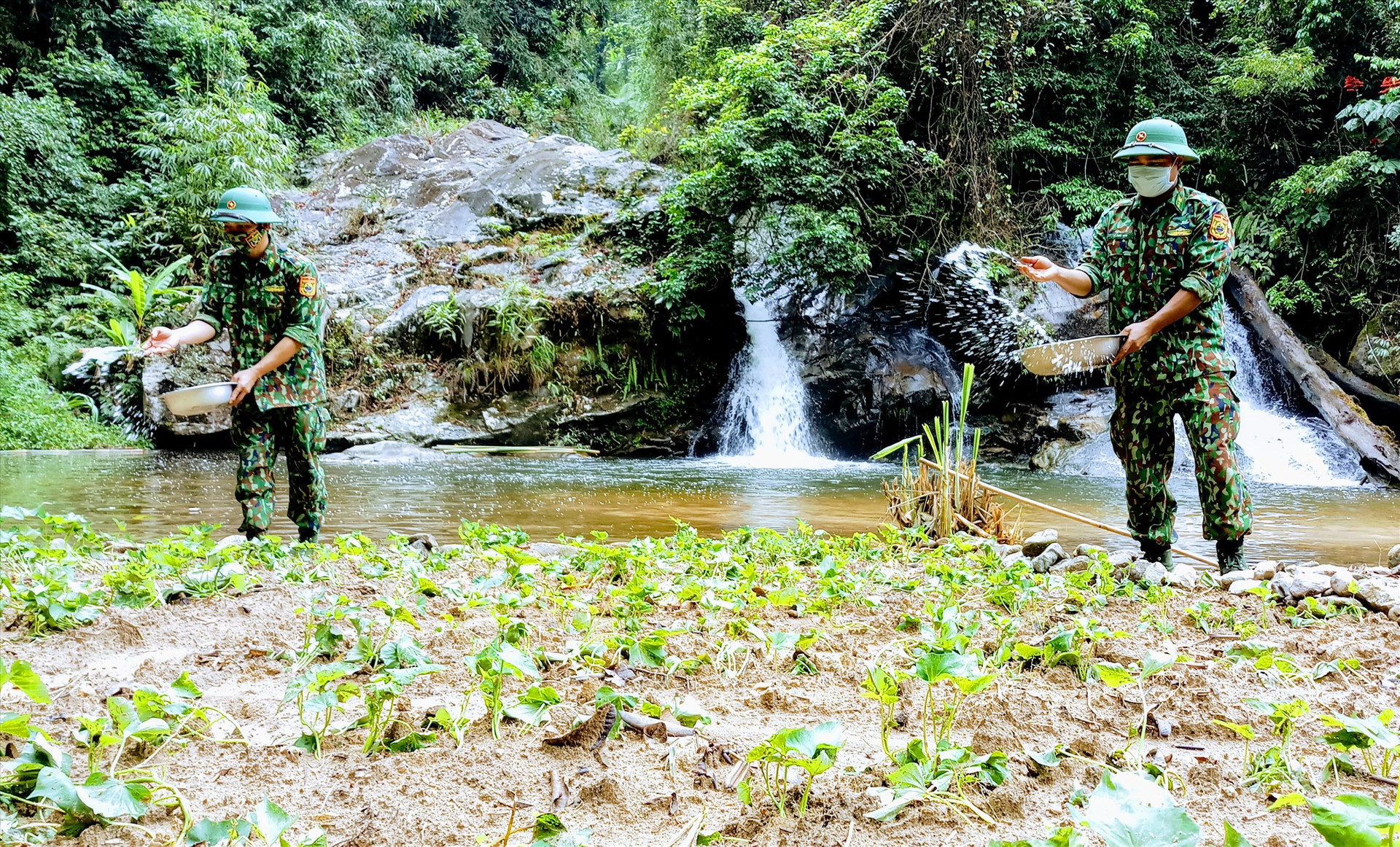 Tranh thủ sau chuyến tuần tra, các chiến sĩ tại chốt kiểm soát xã La Dêê (Nam Giang) chăm sóc vườn rau giữa rừng. Ảnh: ALĂNG NGƯỚC