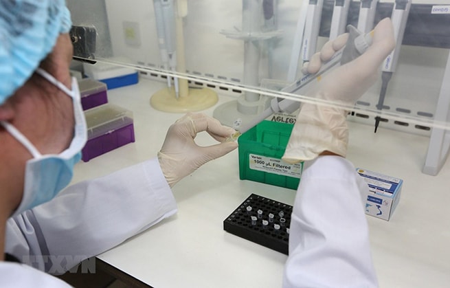 Test xác định virus SARS-CoV-2. (Ảnh: Dương Giang/TTXVN