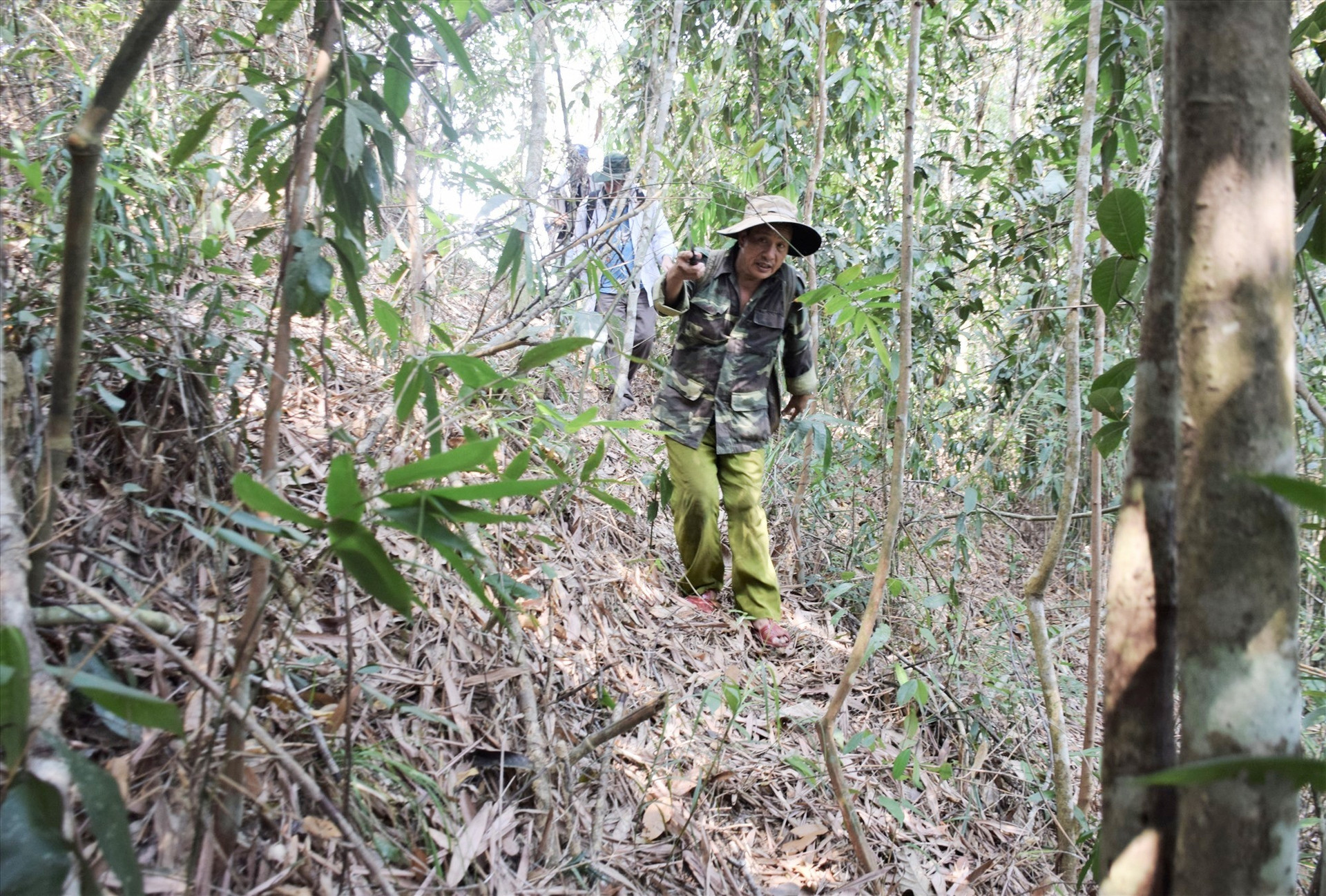 Nhóm ông Nguyễn Ba tiến vào khu vực rừng tự nhiên để tìm nấm. Ảnh: T.T