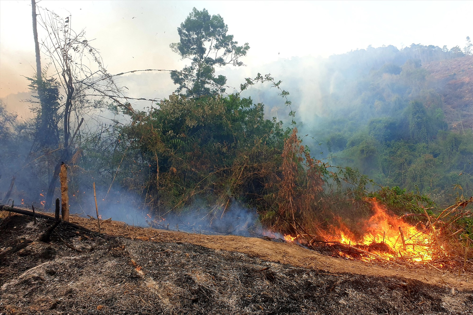 Đám cháy lan rộng tại khu vực Rừng phòng hộ Đông Giang. Ảnh: Đ.N