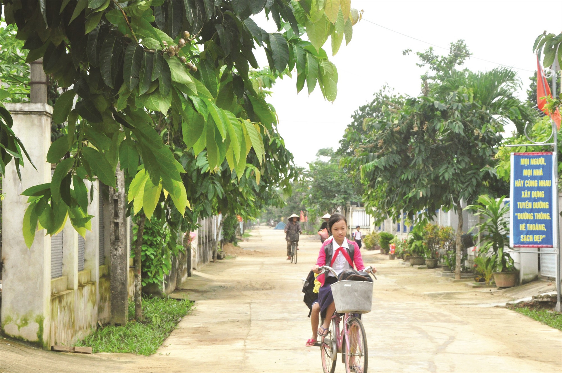 Đường giao thông nông thôn ở thôn Bến Đền Tây, xã Điện Quang, thị xã Điện Bàn. Ảnh: NGUYÊN ĐOAN