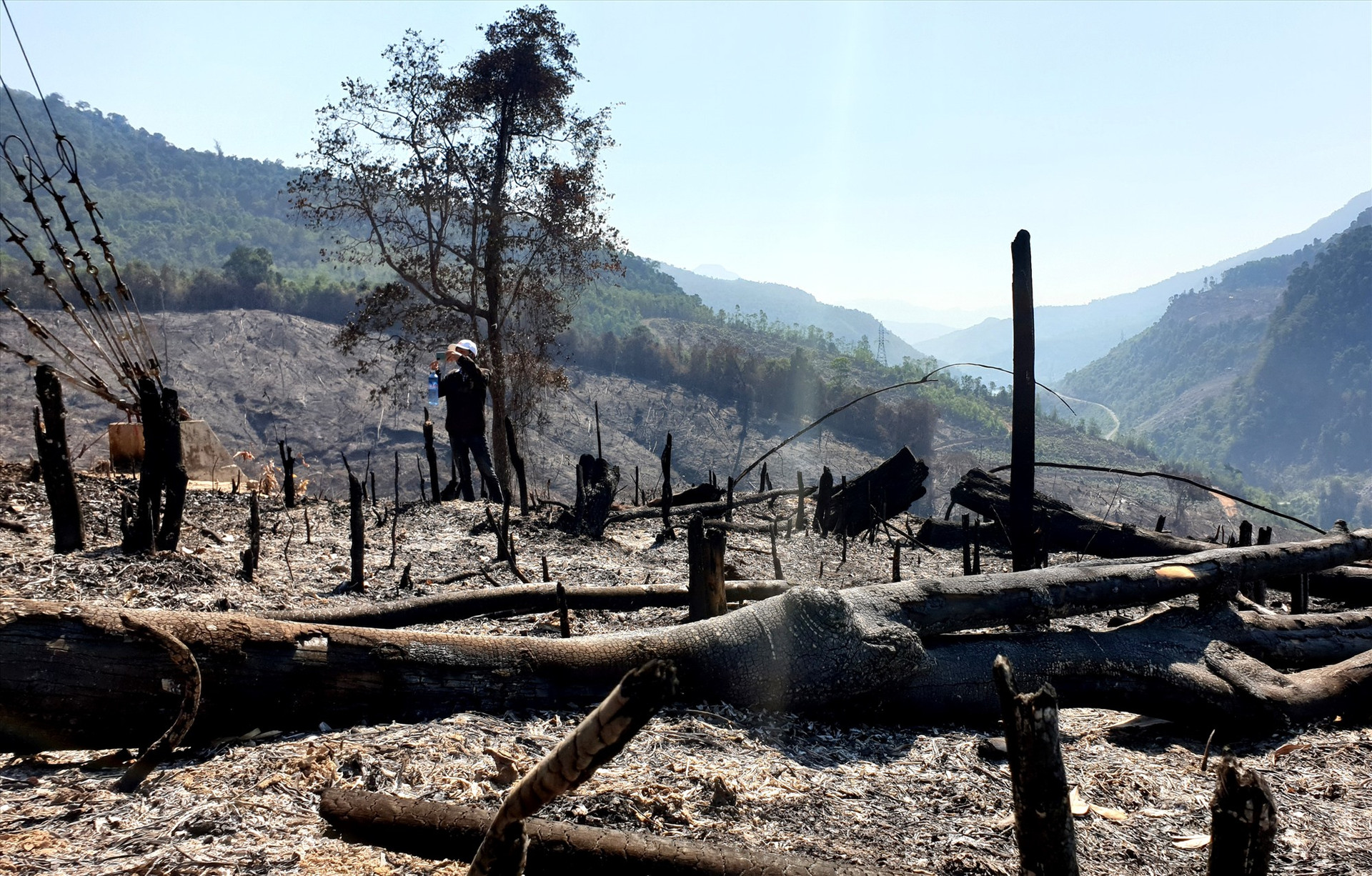 Hiện trường vụ cháy rừng tự nhiên tại Đông Giang. Ảnh: Đ.N