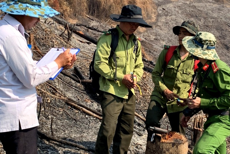 Lực lượng chức năng huyện Đông Giang tiến hành đo đạc, xác minh nguyên nhân về vụ cháy rừng nghiêm trọng này. Ảnh: Đ.N