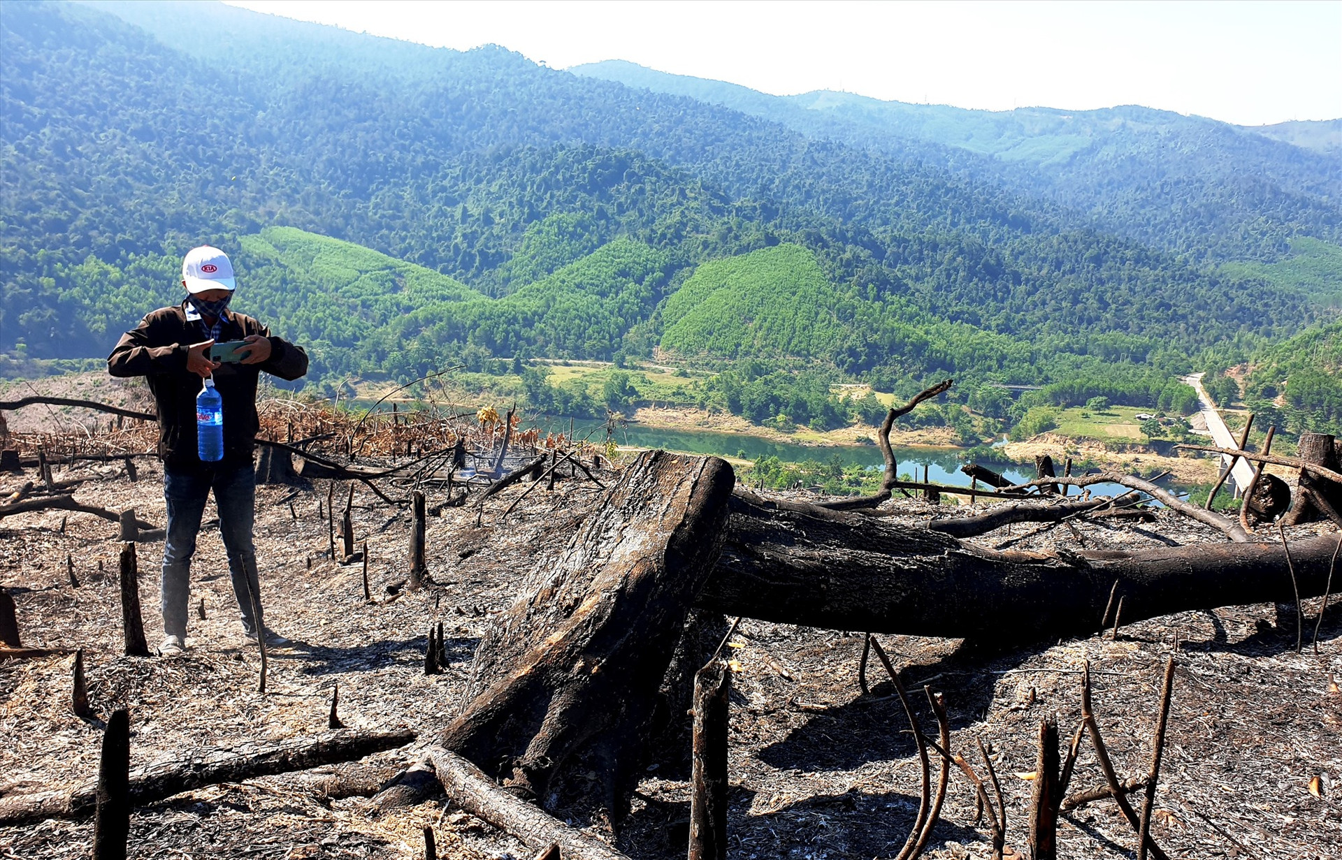 Nhiều cây gỗ có đường kính nhỏ bị chặt phá nằm trong diện tích rừng bị cháy. Ảnh: Đ.N