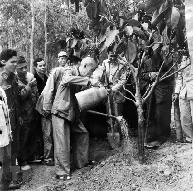  Chủ tịch Hồ Chí Minh về thăm và chúc tết nhân dân xã Việt Lại, huyện Ba Vì, tỉnh Hà Tây và trồng cây đa lưu niệm trên đồi cây của xã, ngày 16/2/1969. (Ảnh: TTXVN)