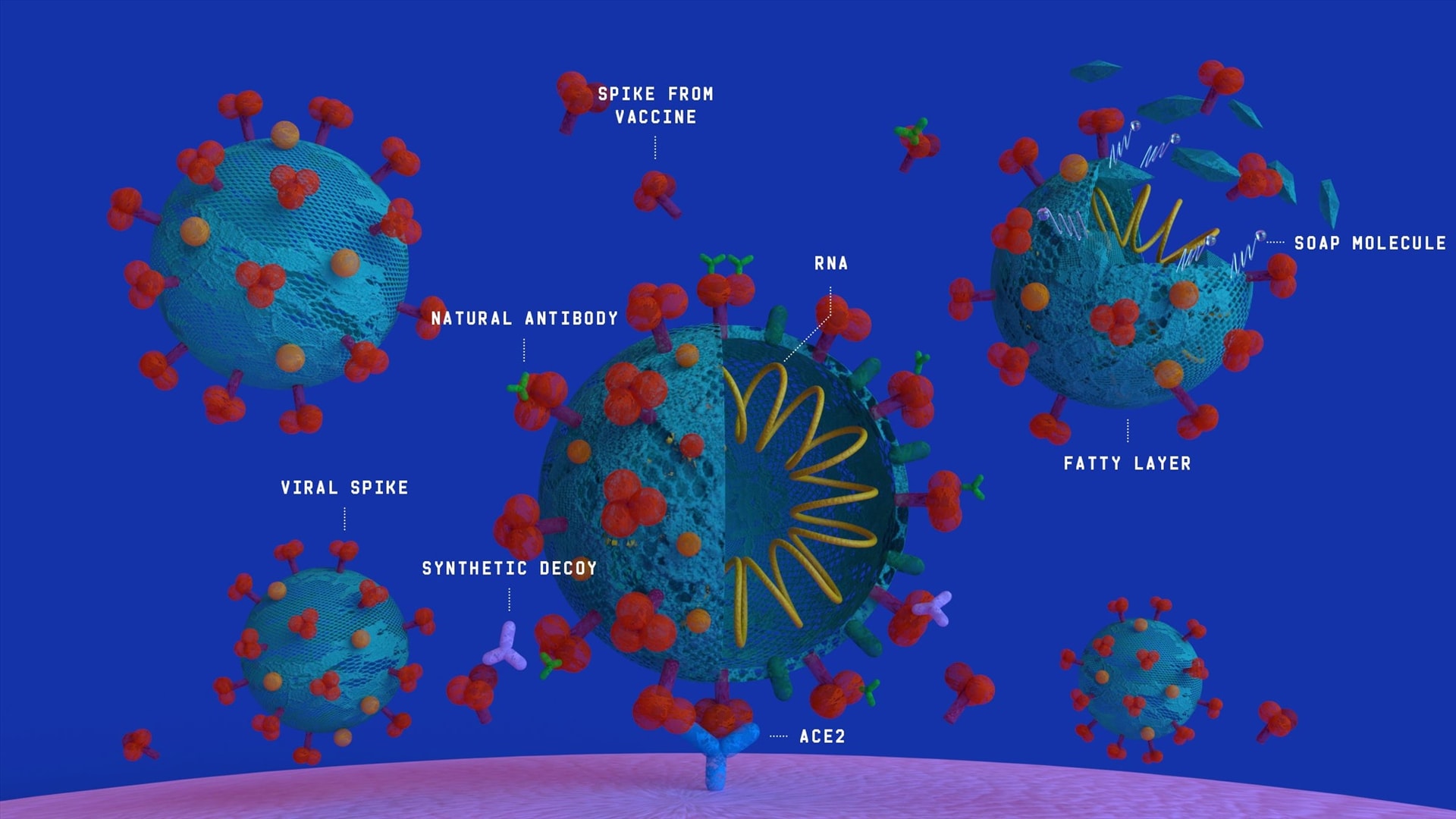 Tìm mọi cách tiêu diệt virus gây bệnh Covid-19