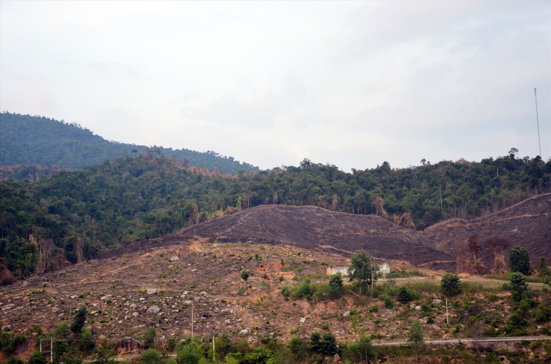 Những dãy núi đã bị cạo trọc sau vụ cháy rừng. Ảnh: H.P
