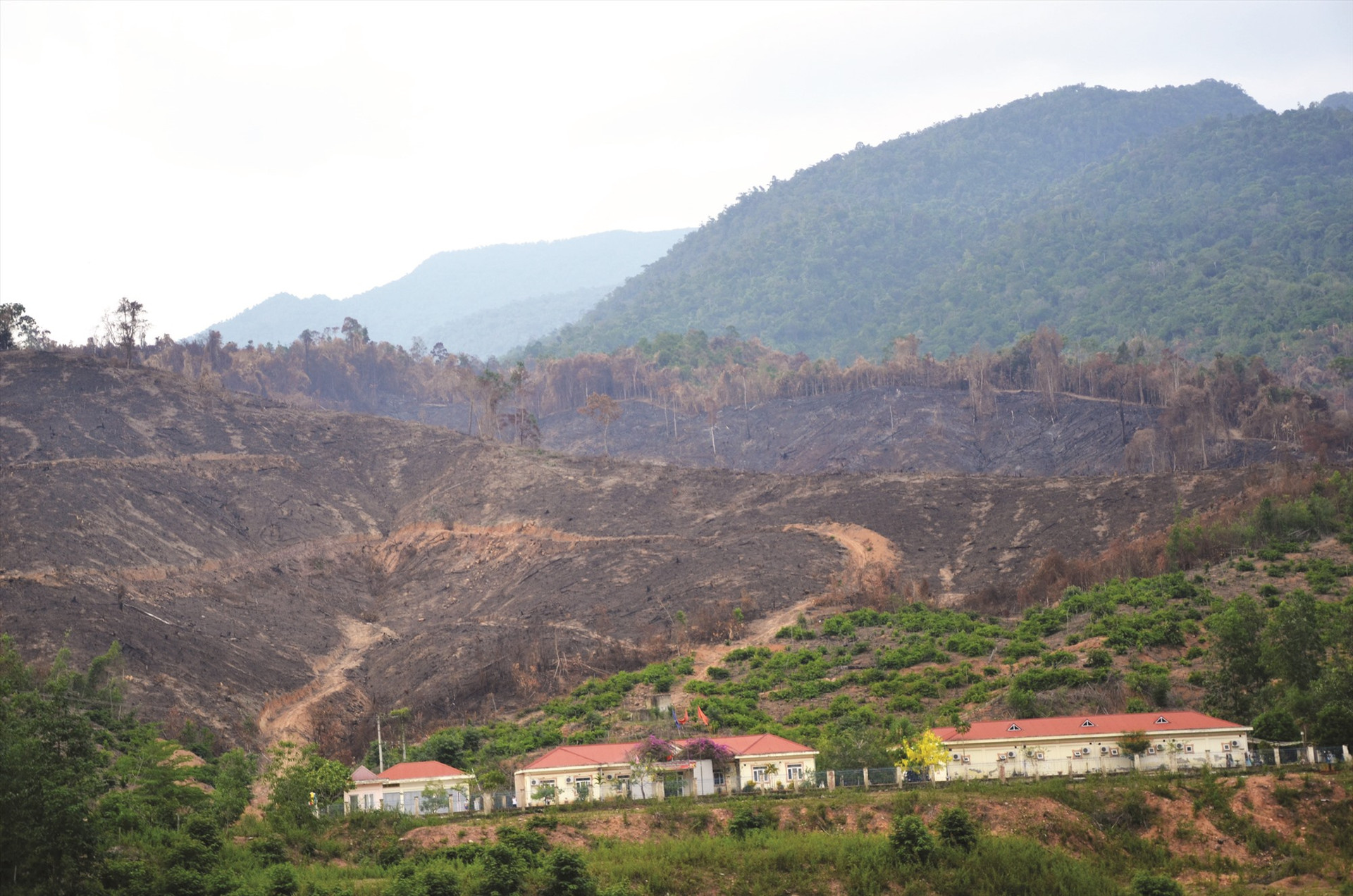 Khu vực cháy rừng nằm gần công trình nhà máy thủy điện Sông Bung 5. Ảnh: H.P