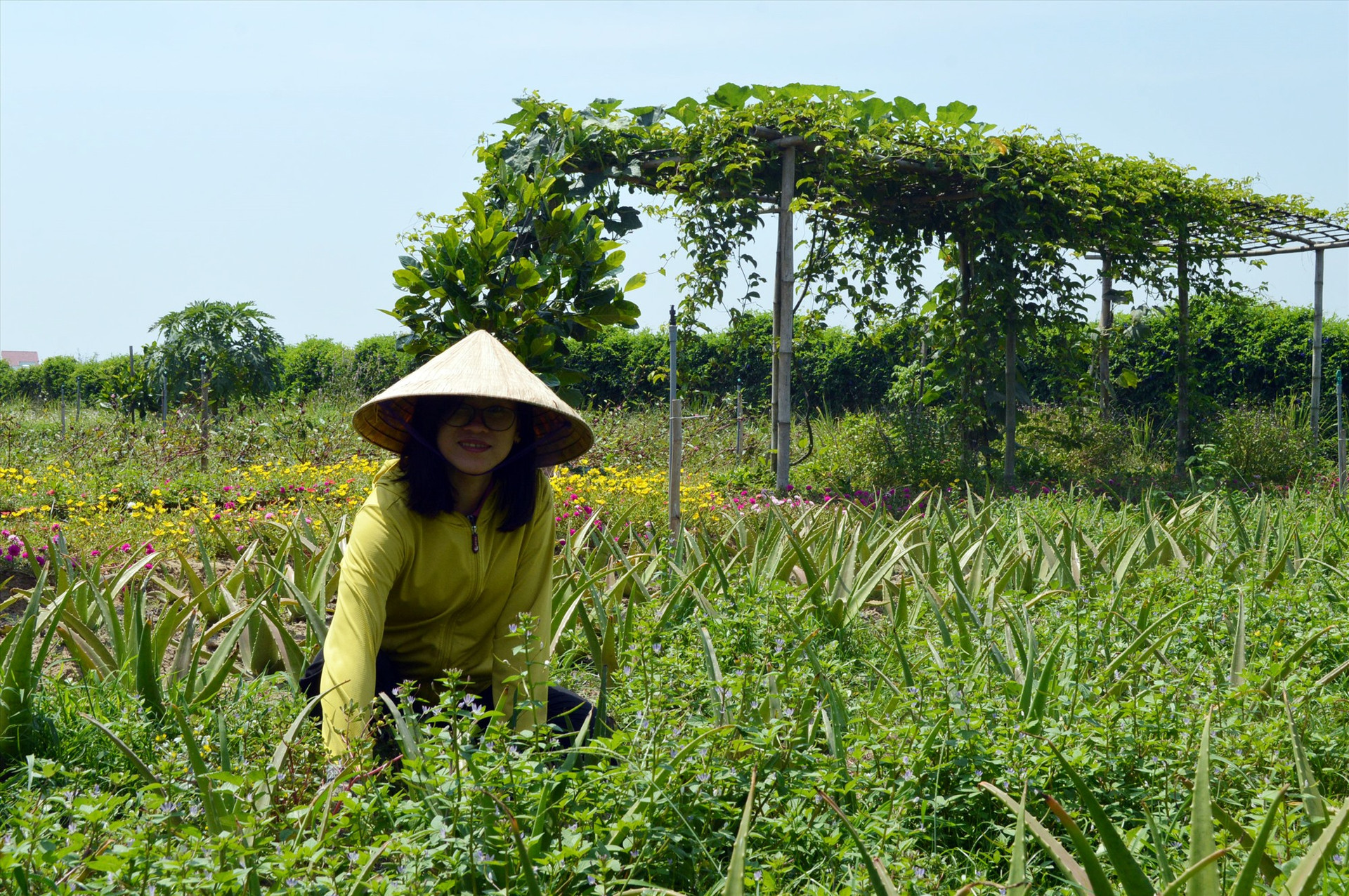 Trần Huỳnh Hải Yến với mô hình khởi nghiệp nông nghiệp xanh. Ảnh: V.L