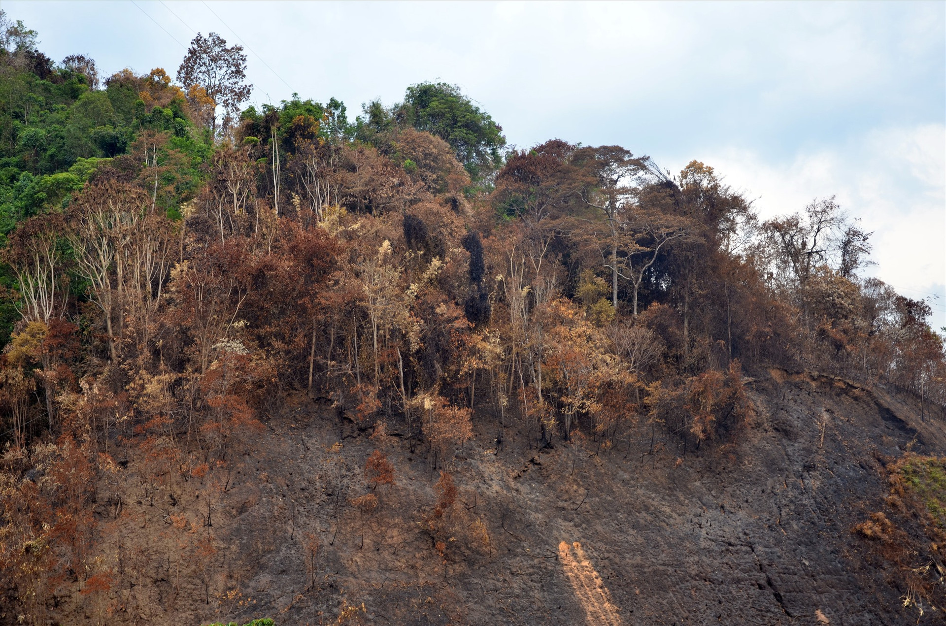 Những dãy núi đã bị cạo trọc sau vụ cháy rừng. Ảnh: H.P