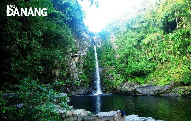 Vẻ đẹp trong lành của Giếng trời vào một buổi sáng mùa hè. Ảnh: GIA HUY