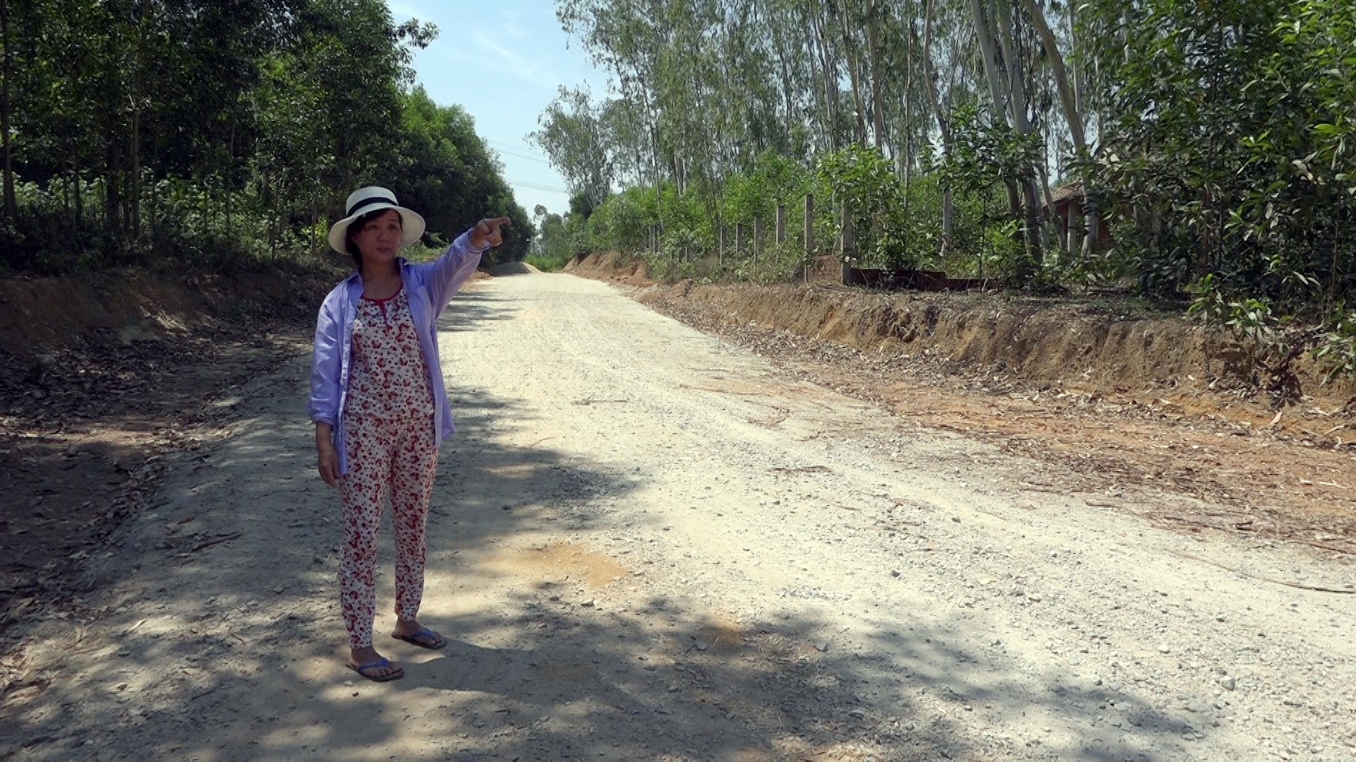 Gia đình bà Lê Thị Thành đã hiến 1.800 mét vuông đất trồng keo để làm đường ĐH21. Ảnh: G.B