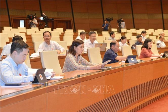 Đại biểu Quốc hội dự kỳ họp. Ảnh: Doãn Tấn-TTXVN
