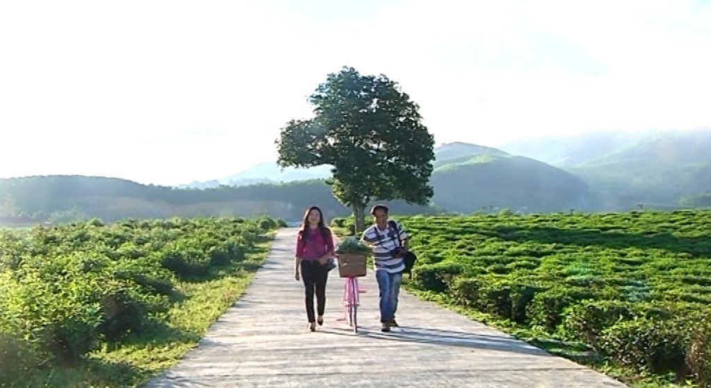 Visitors and Quyet Thang tea plantation in Dong Giang