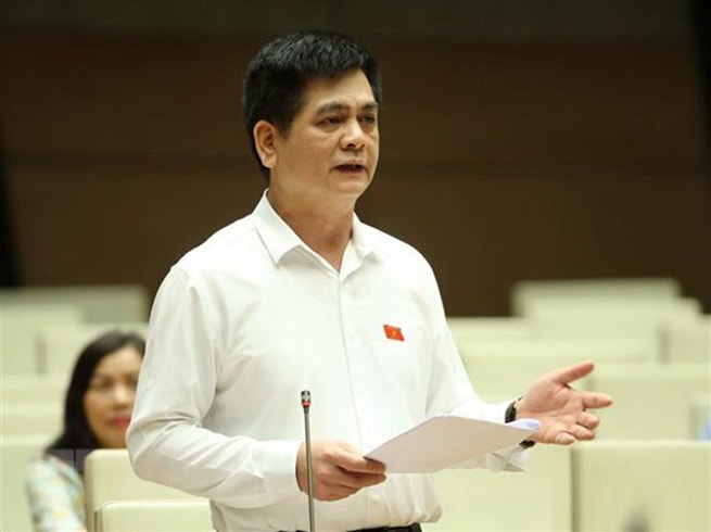 Đại biểu Quốc hội tỉnh Lạng Sơn Nguyễn Lâm Thành phát biểu ý kiến. (Ảnh: Doãn Tấn/TTXVN)