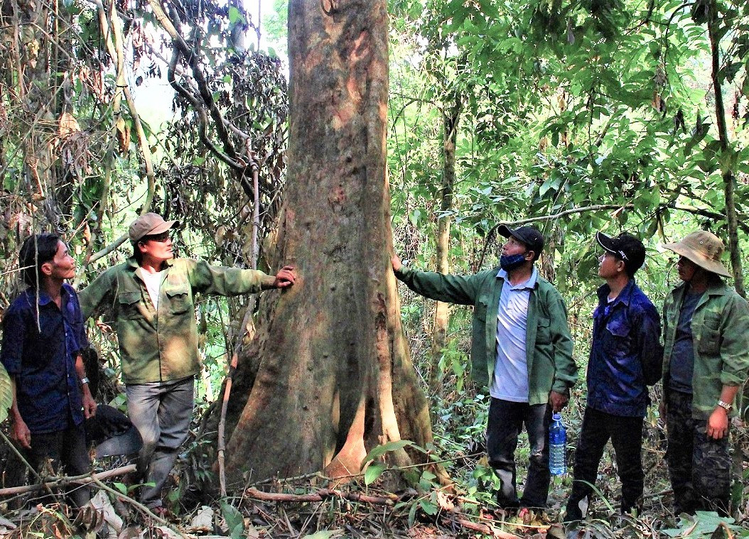 Các thành viên Đội bảo vệ môi trường rừng tiểu khu 557 kiểm ra rừng. Ảnh: H.A