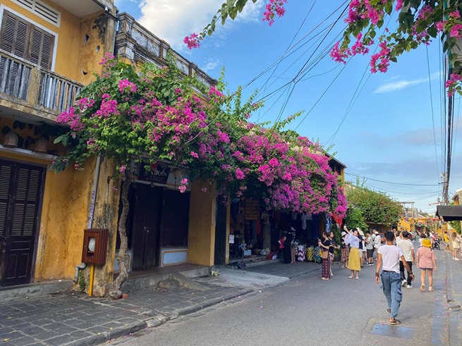 Phố cổ Hội An là điểm đến yêu thích của nhiều du khách trong và ngoài nước bởi vẻ đẹp dịu dàng, cổ kính.
