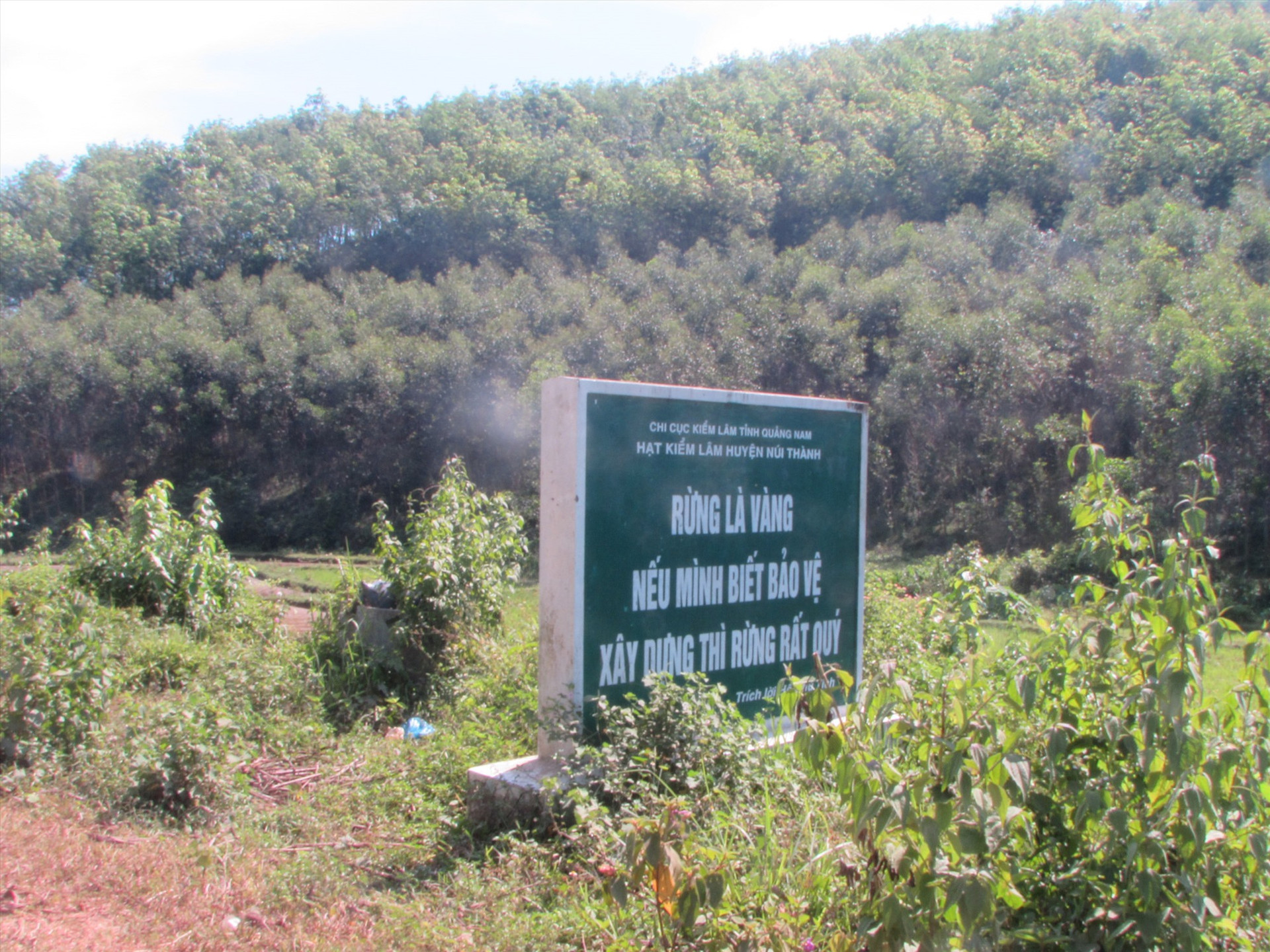 Ngành chức năng tăng cường tuyên truyền về công tác bảo vệ rừng tại huyện Núi Thành. Ảnh: V.P